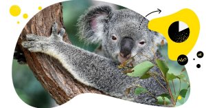 Instagram demographics in Australia [May 2023 UPDATE]